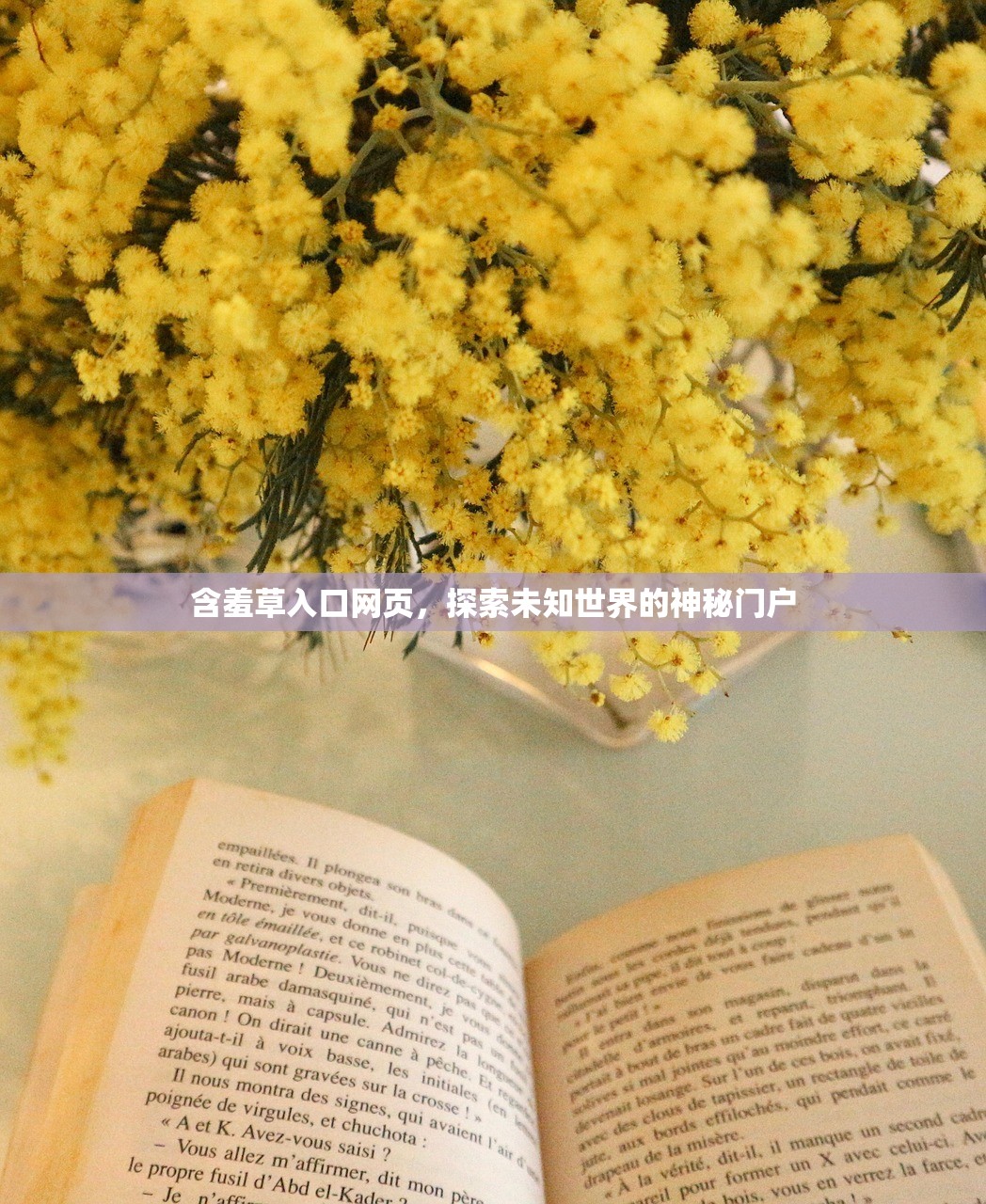 含羞草入口网页，探索未知世界的神秘门户
