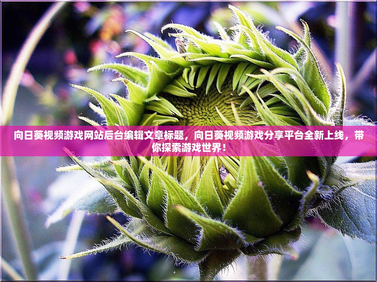 向日葵视频游戏网站后台编辑文章标题，向日葵视频游戏分享平台全新上线，带你探索游戏世界！