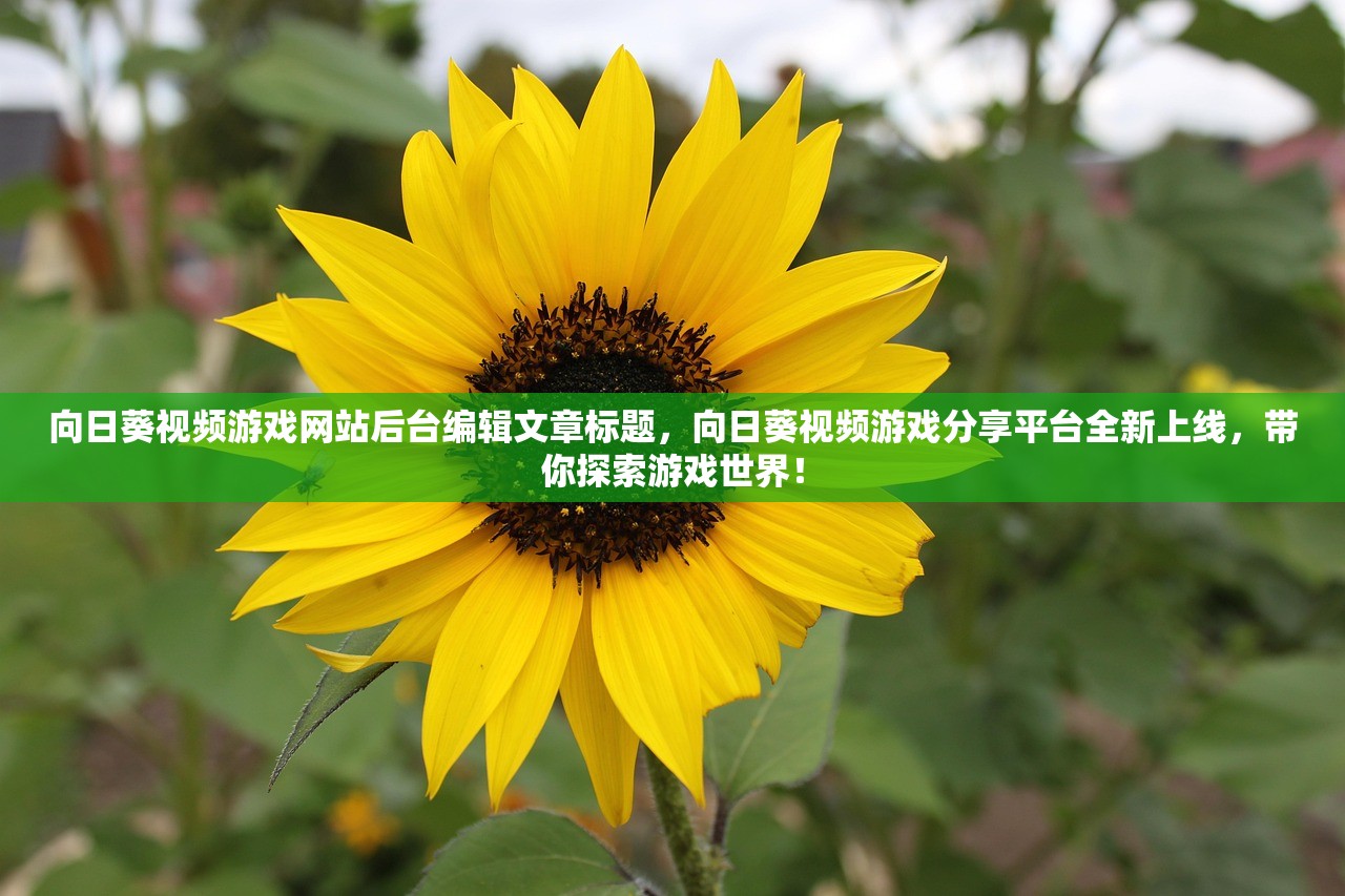 向日葵视频游戏网站后台编辑文章标题，向日葵视频游戏分享平台全新上线，带你探索游戏世界！