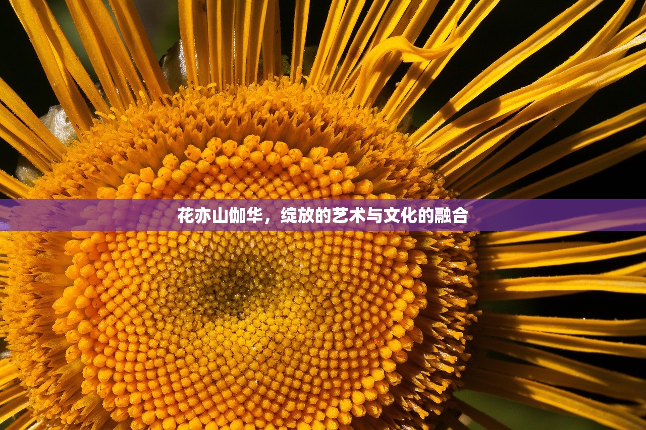 花亦山伽华，绽放的艺术与文化的融合