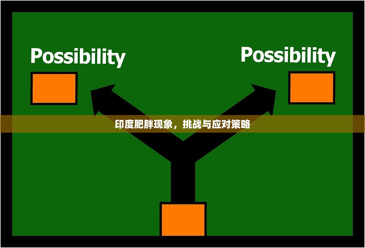 印度肥胖现象，挑战与应对策略
