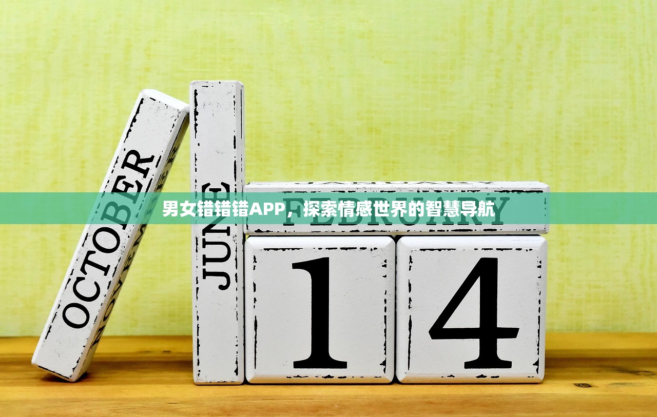 男女错错错APP，探索情感世界的智慧导航