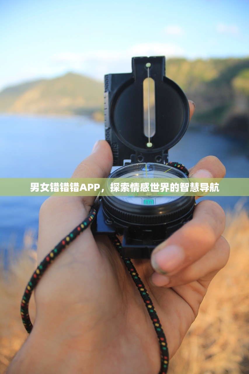 男女错错错APP，探索情感世界的智慧导航