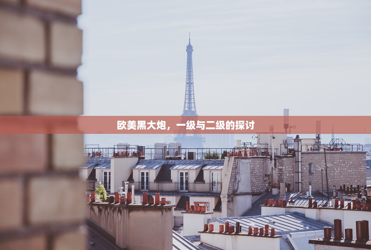 欧美黑大炮，一级与二级的探讨