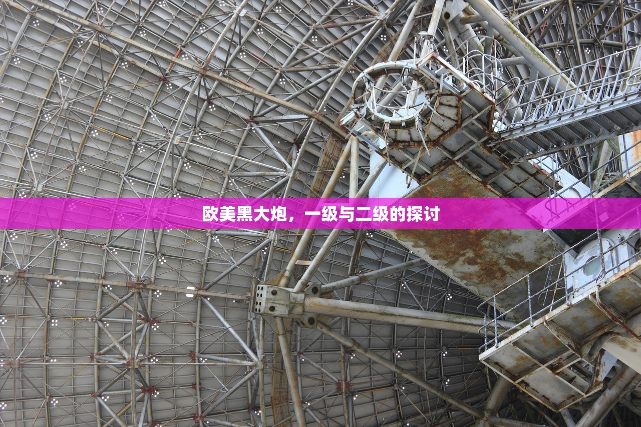 欧美黑大炮，一级与二级的探讨