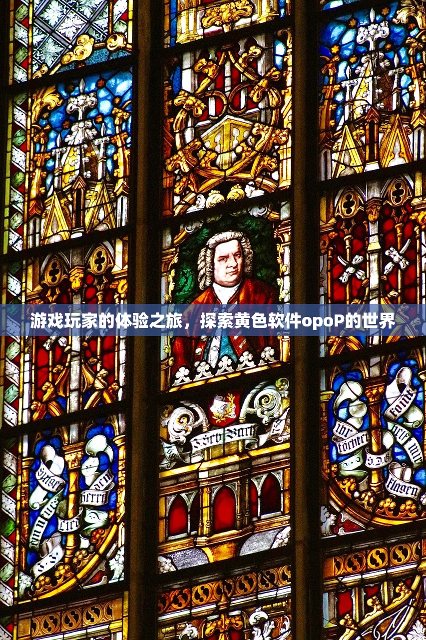 游戏玩家的体验之旅，探索黄色软件opoP的世界