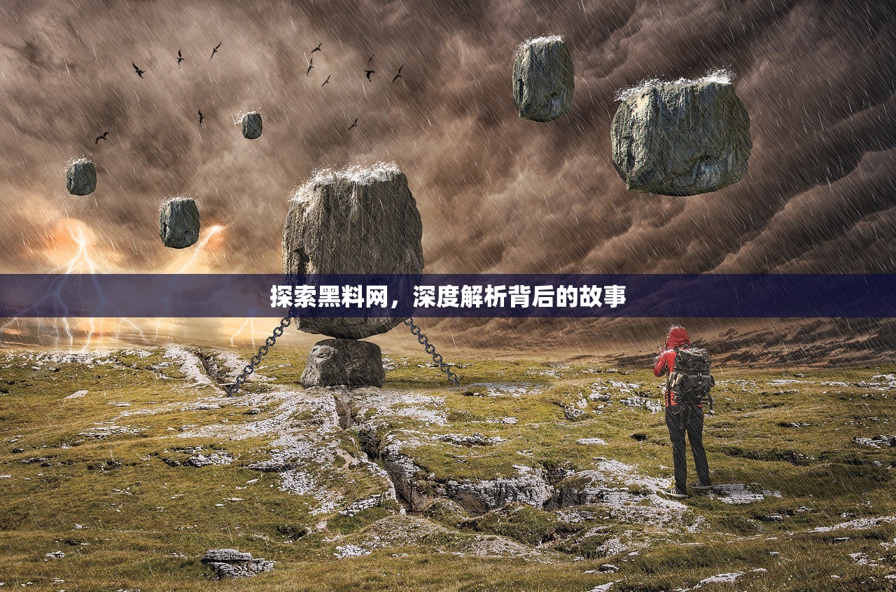探索黑料网，深度解析背后的故事