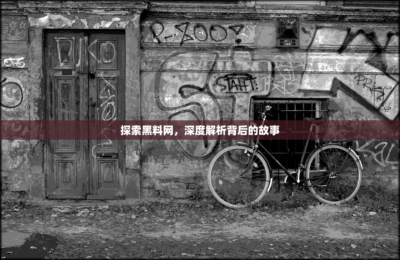 探索黑料网，深度解析背后的故事