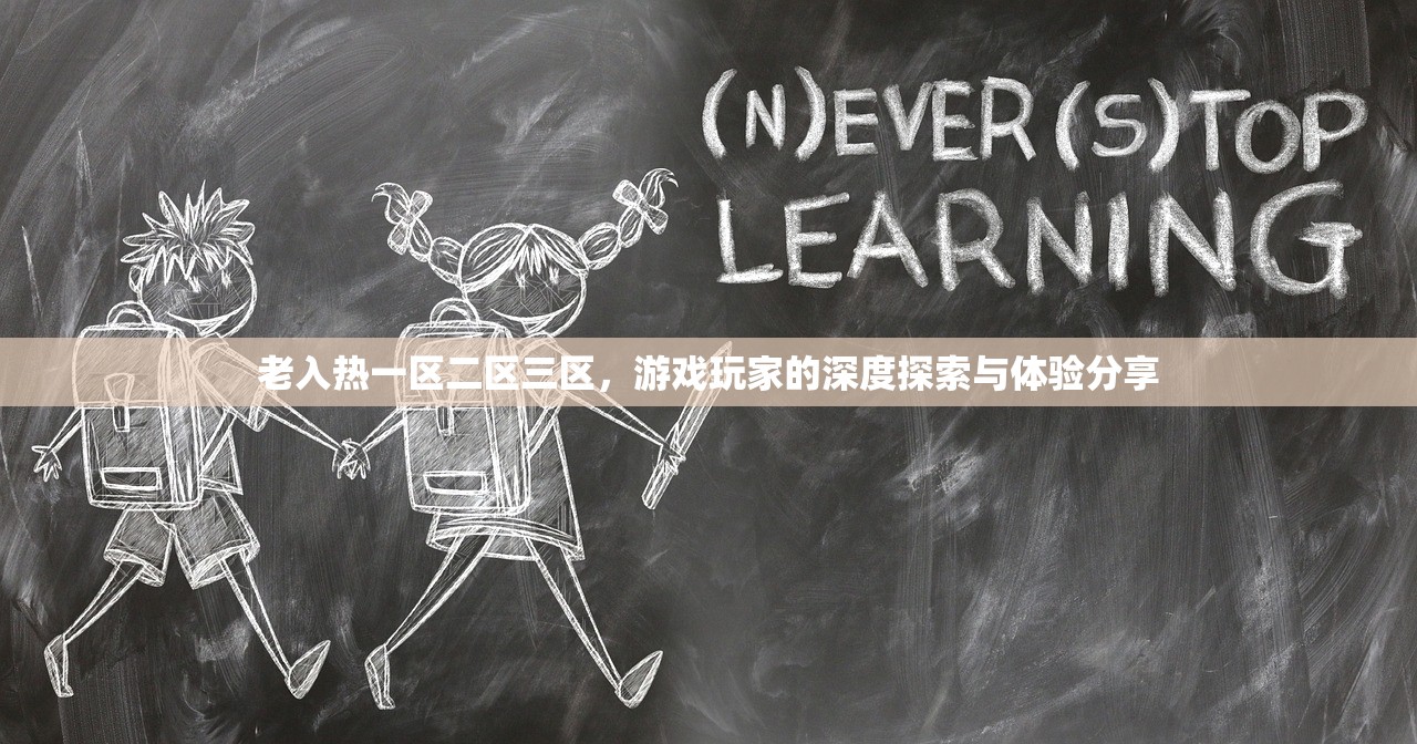 老入热一区二区三区，游戏玩家的深度探索与体验分享