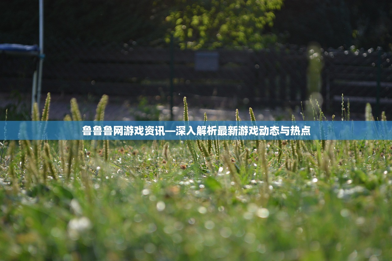 鲁鲁鲁网游戏资讯—深入解析最新游戏动态与热点