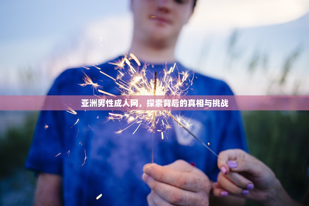 亚洲男性成人网，探索背后的真相与挑战