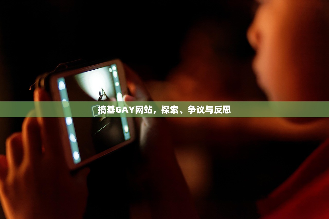 搞基GAY网站，探索、争议与反思
