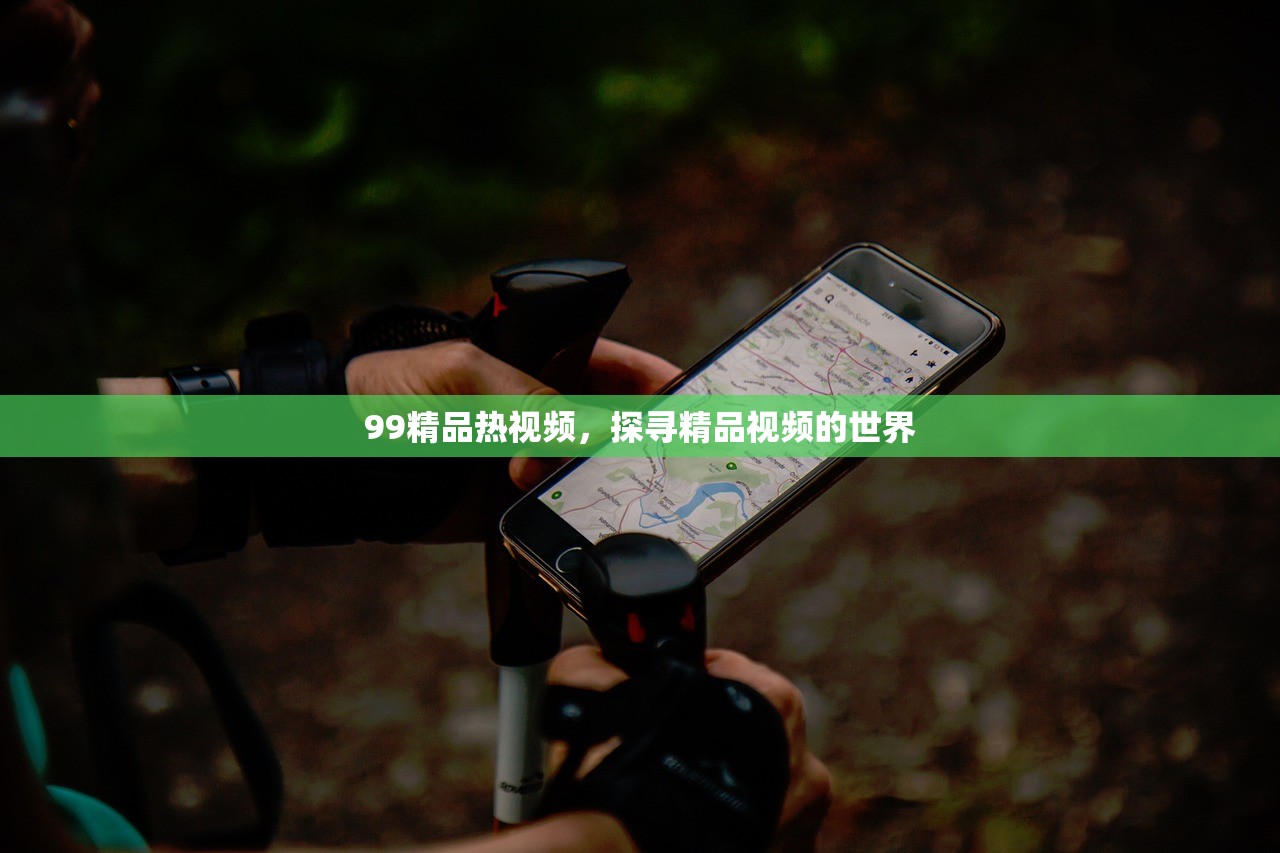 99精品热视频，探寻精品视频的世界