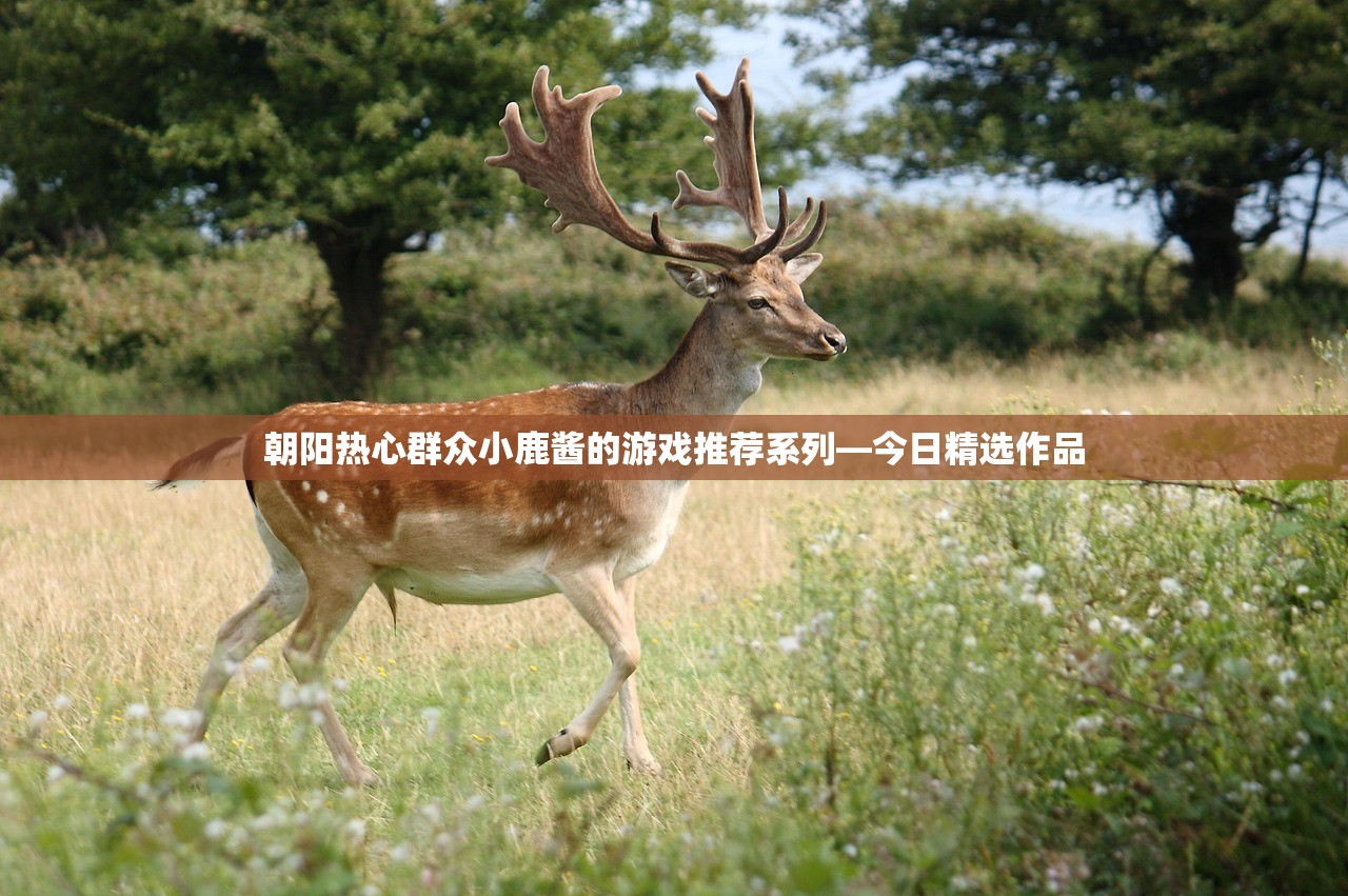 朝阳热心群众小鹿酱的游戏推荐系列—今日精选作品