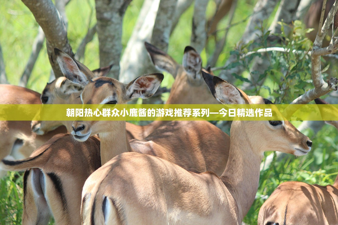朝阳热心群众小鹿酱的游戏推荐系列—今日精选作品