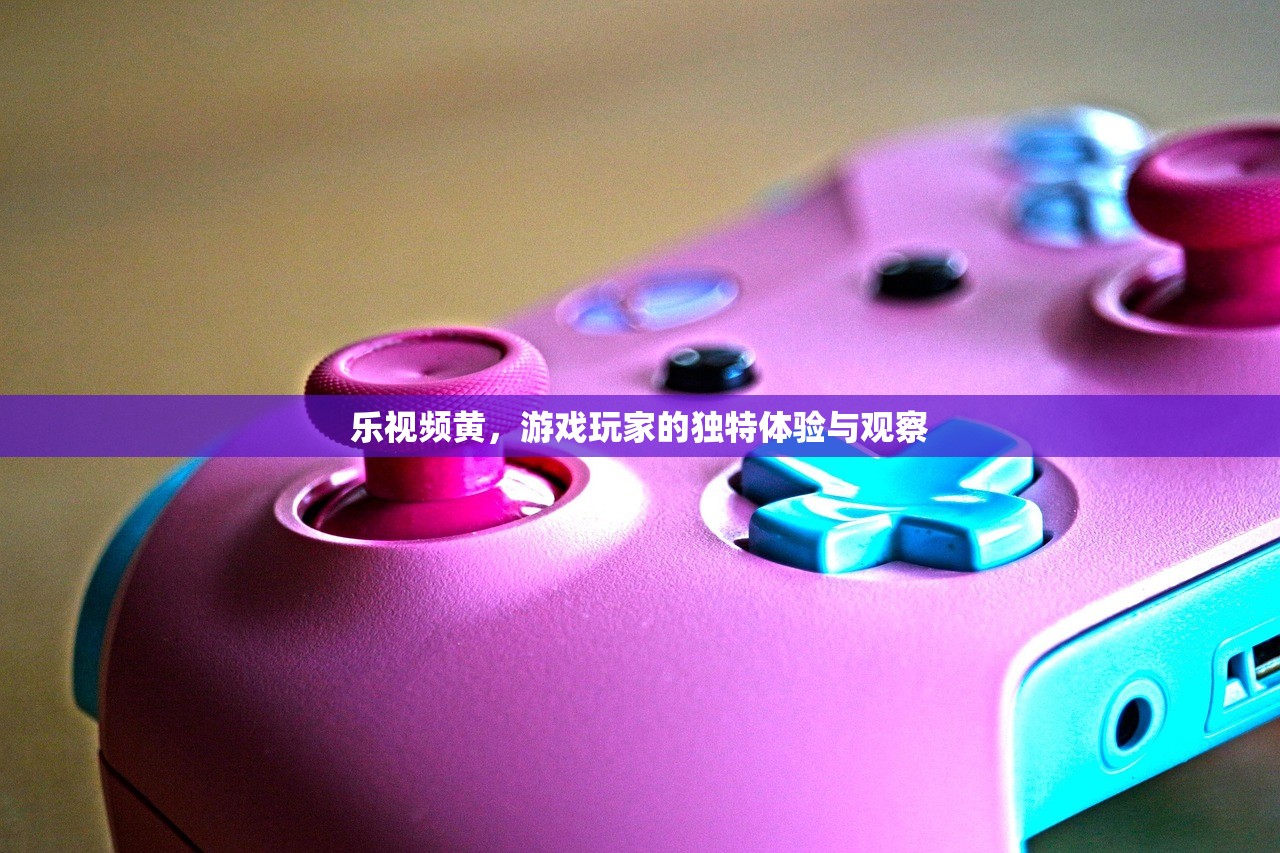 乐视频黄，游戏玩家的独特体验与观察