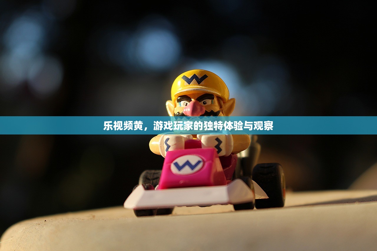 乐视频黄，游戏玩家的独特体验与观察
