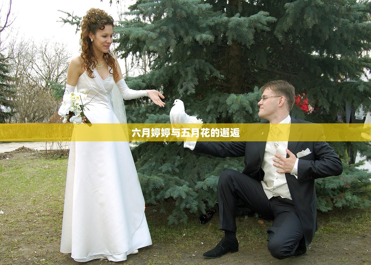 六月婷婷与五月花的邂逅