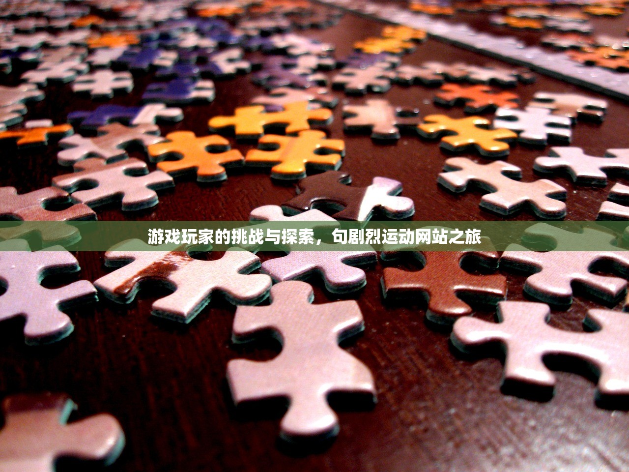 游戏玩家的挑战与探索，句剧烈运动网站之旅