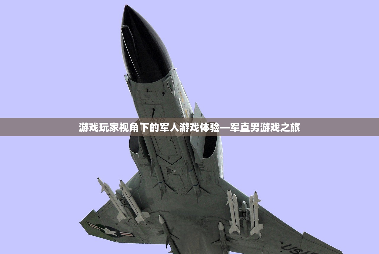 游戏玩家视角下的军人游戏体验—军直男游戏之旅