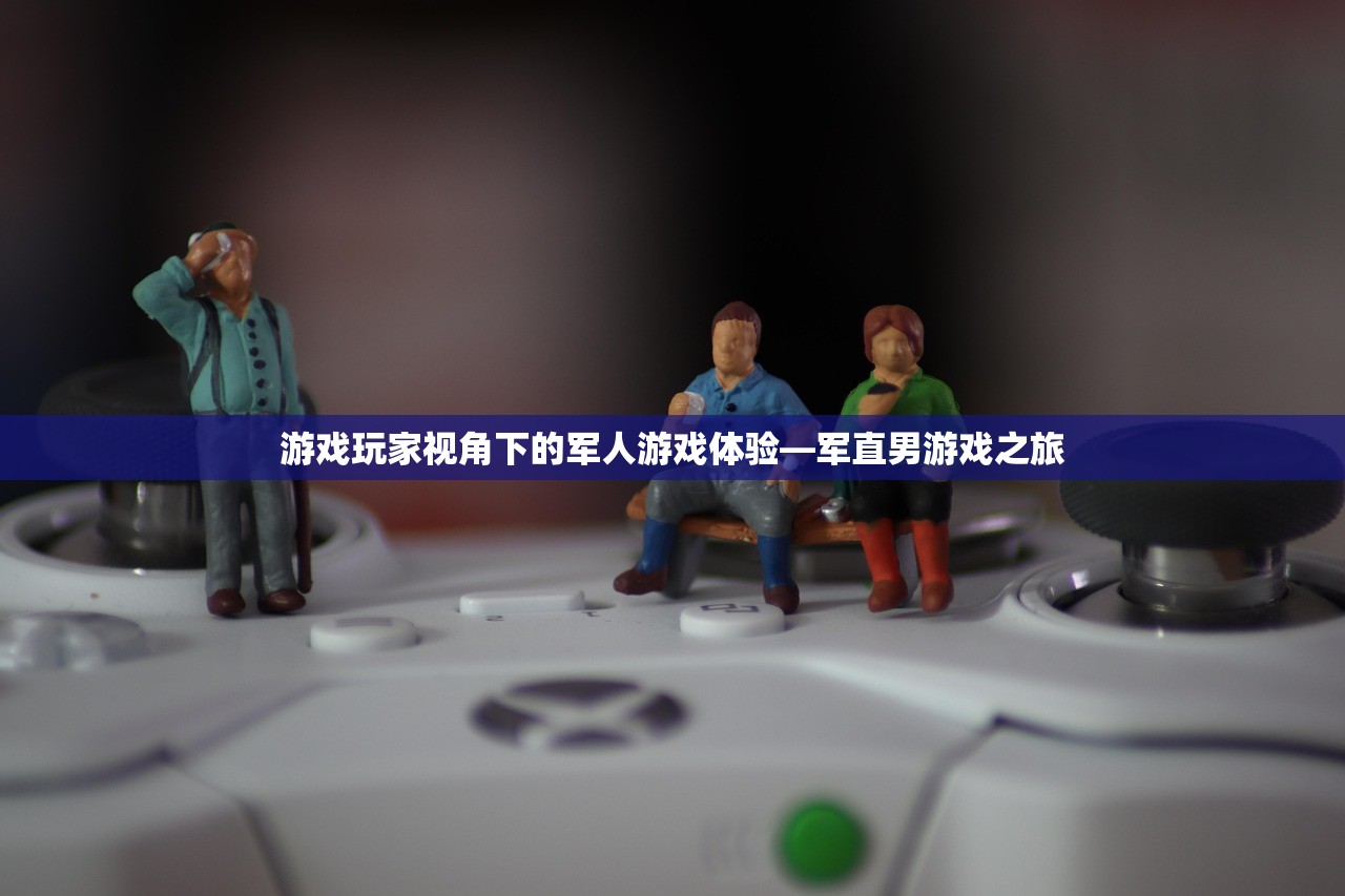 游戏玩家视角下的军人游戏体验—军直男游戏之旅