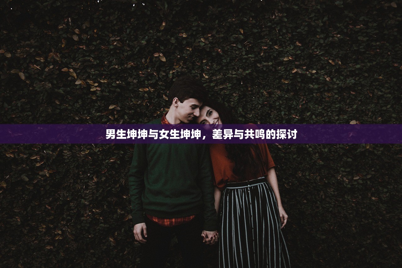 男生坤坤与女生坤坤，差异与共鸣的探讨