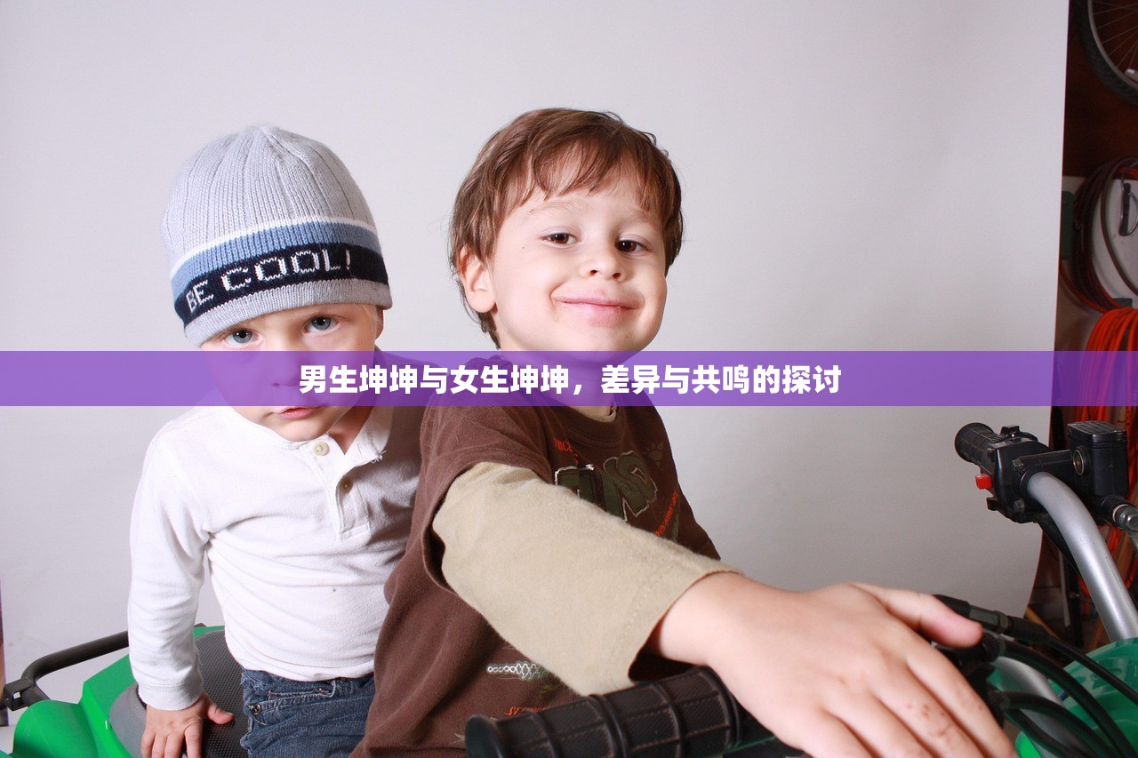 男生坤坤与女生坤坤，差异与共鸣的探讨