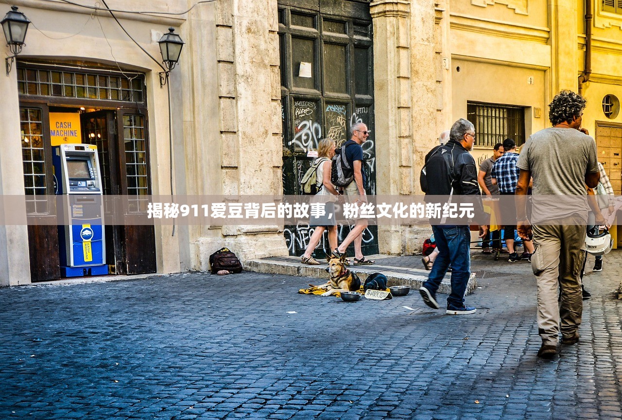 揭秘911爱豆背后的故事，粉丝文化的新纪元