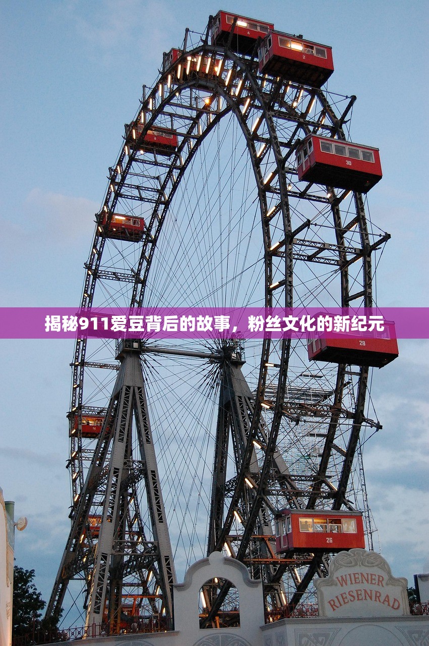 揭秘911爱豆背后的故事，粉丝文化的新纪元