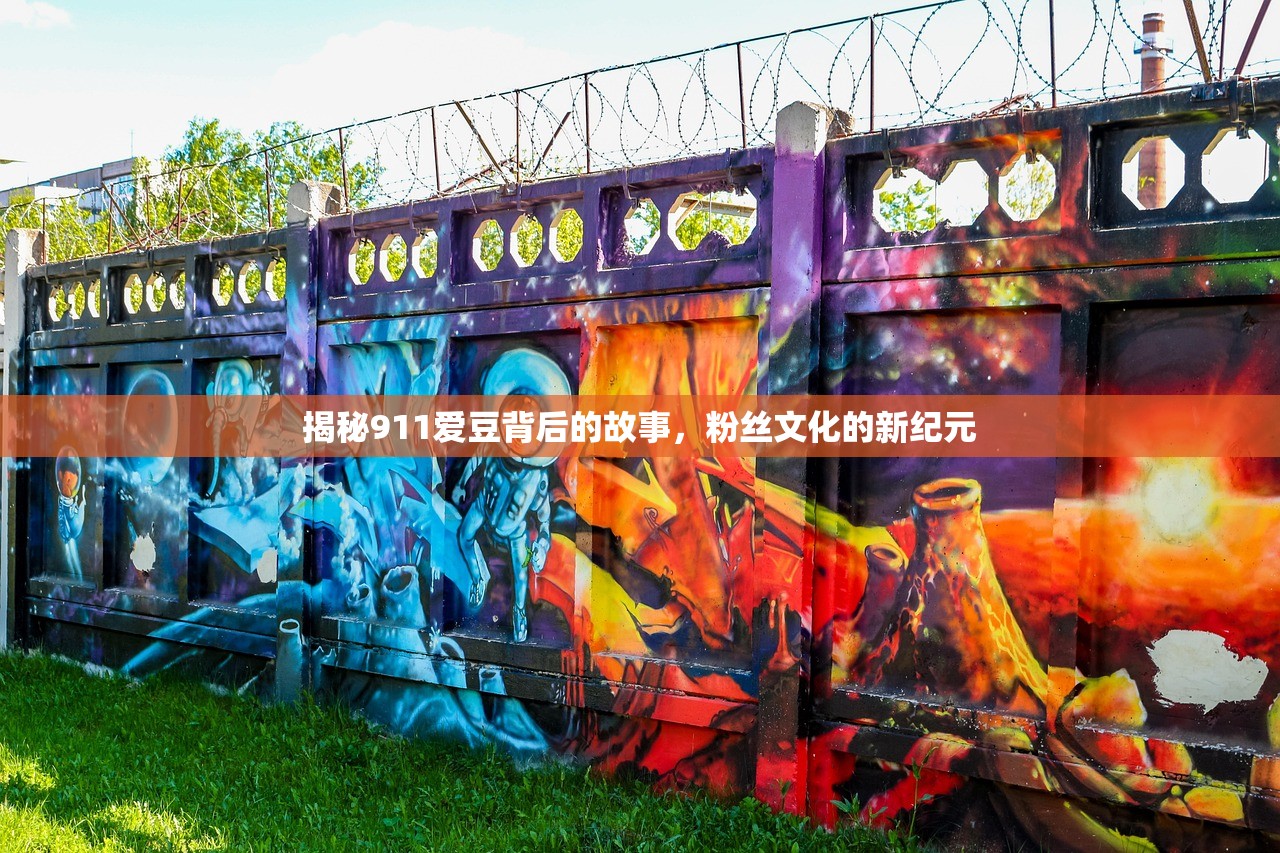 揭秘911爱豆背后的故事，粉丝文化的新纪元