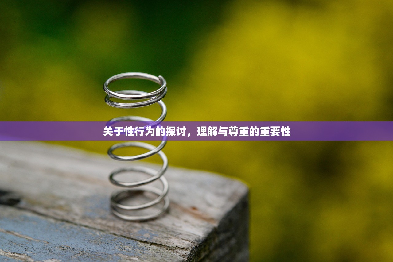 关于性行为的探讨，理解与尊重的重要性