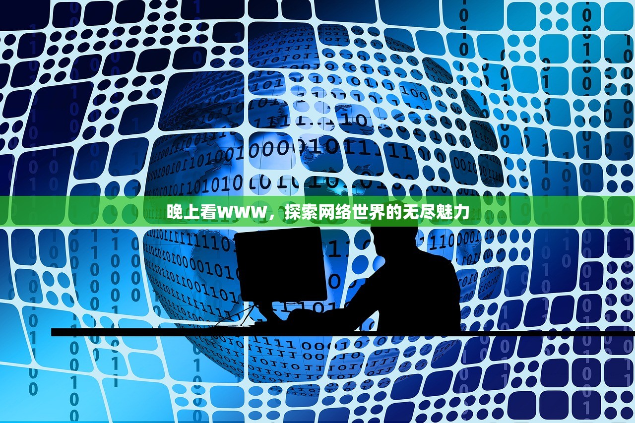 晚上看WWW，探索网络世界的无尽魅力