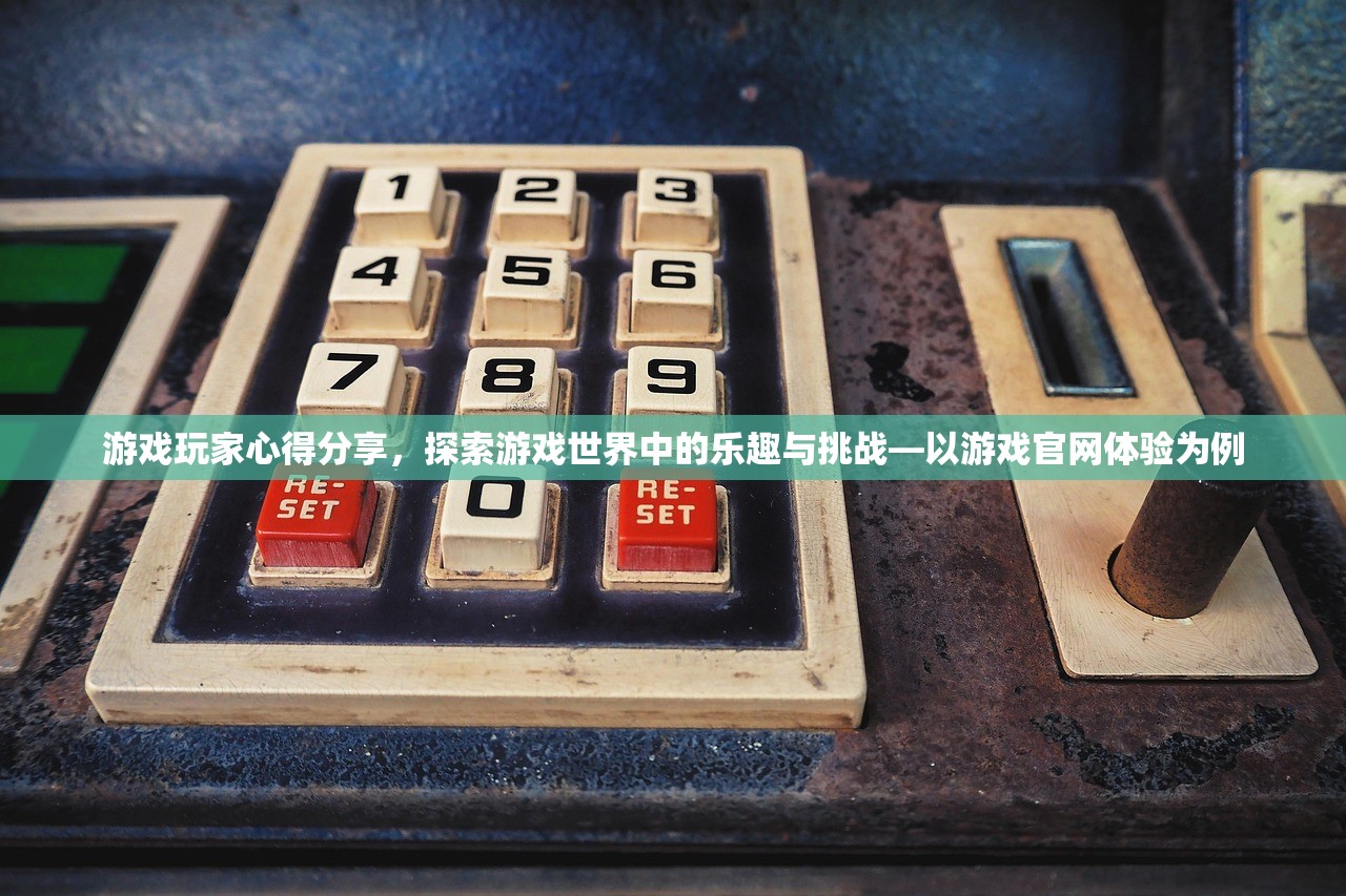 游戏玩家心得分享，探索游戏世界中的乐趣与挑战—以游戏官网体验为例