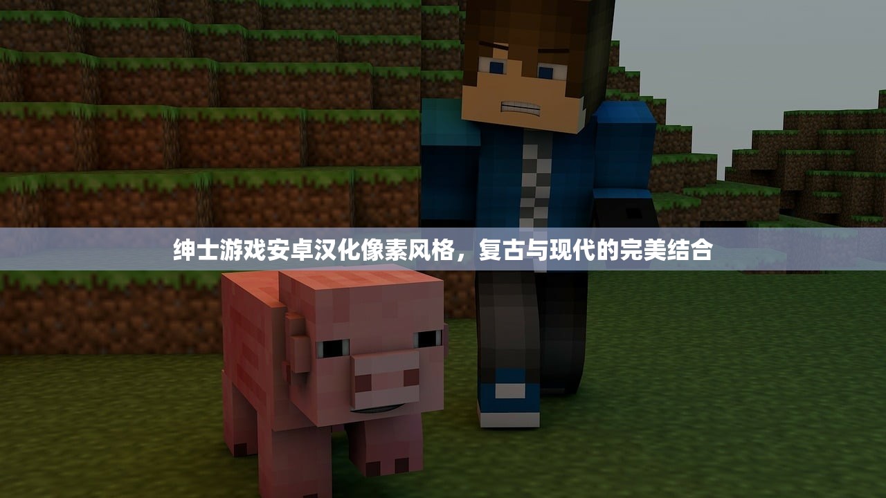 绅士游戏安卓汉化像素风格，复古与现代的完美结合