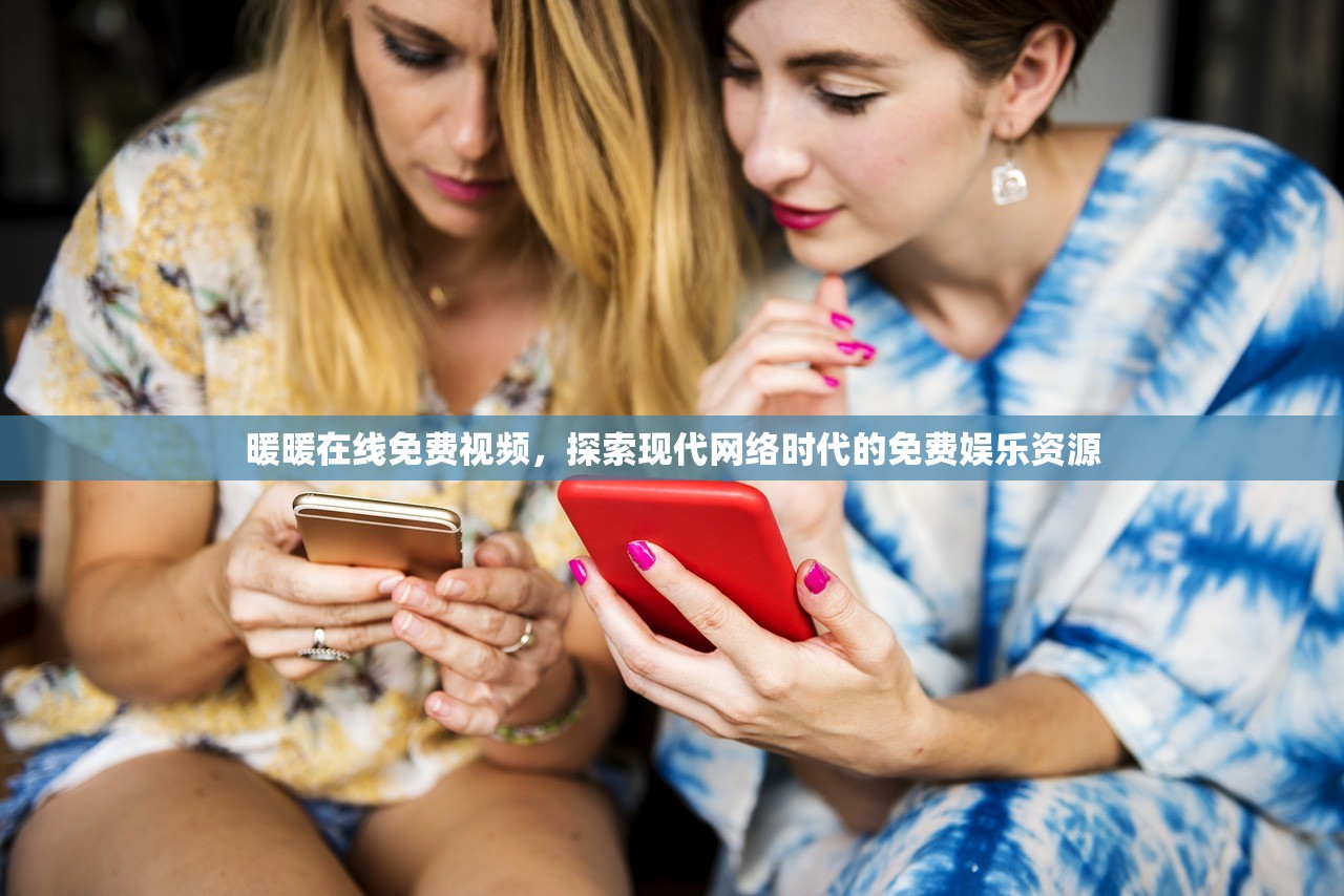 暖暖在线免费视频，探索现代网络时代的免费娱乐资源