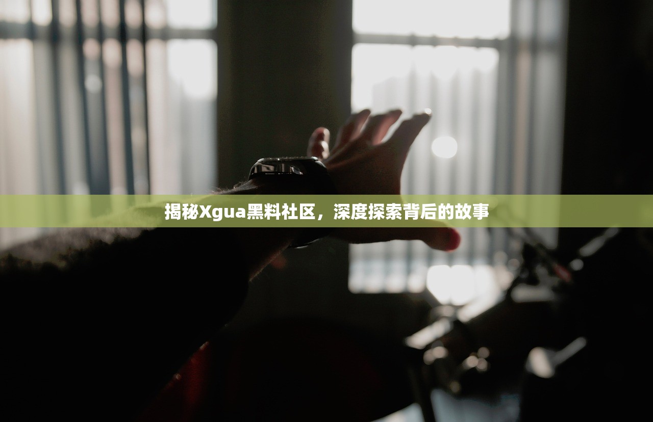 揭秘Xgua黑料社区，深度探索背后的故事