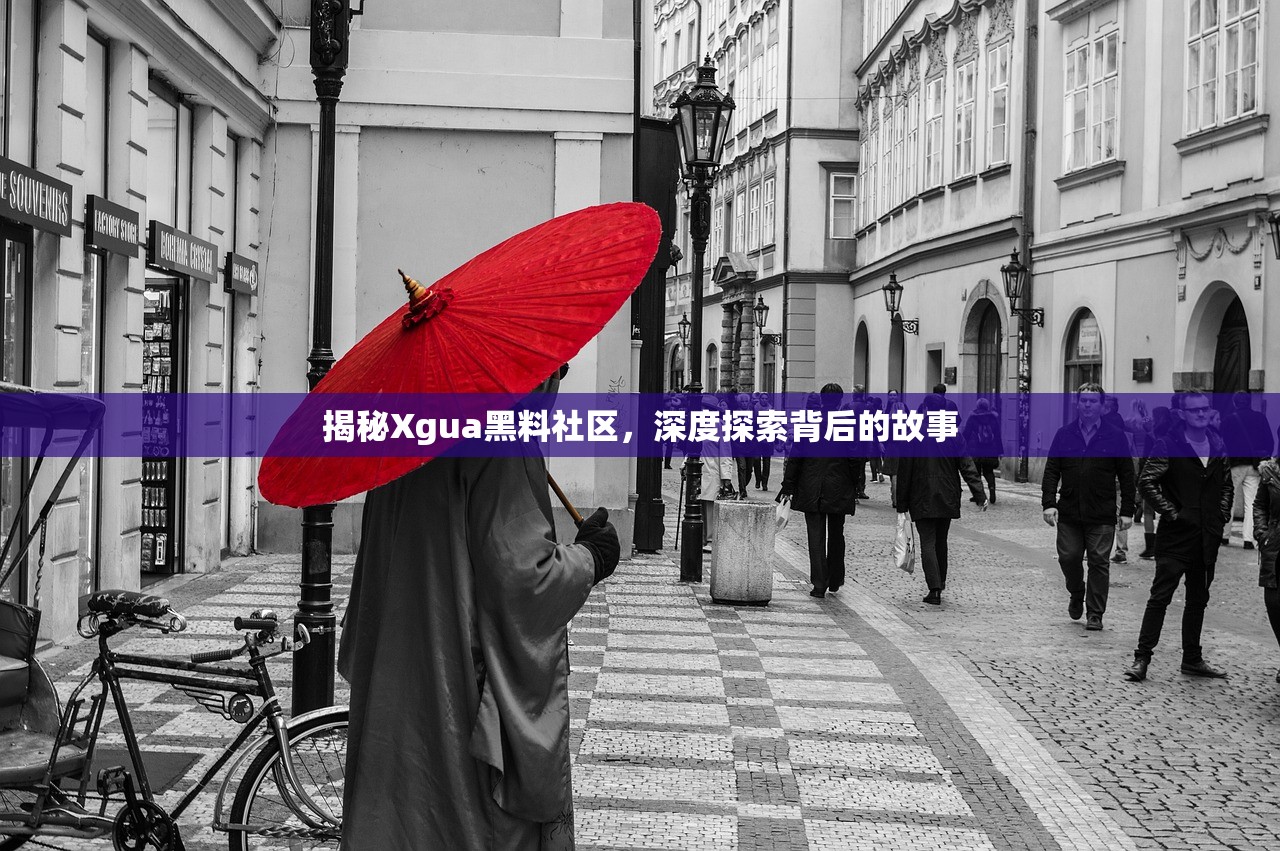 揭秘Xgua黑料社区，深度探索背后的故事