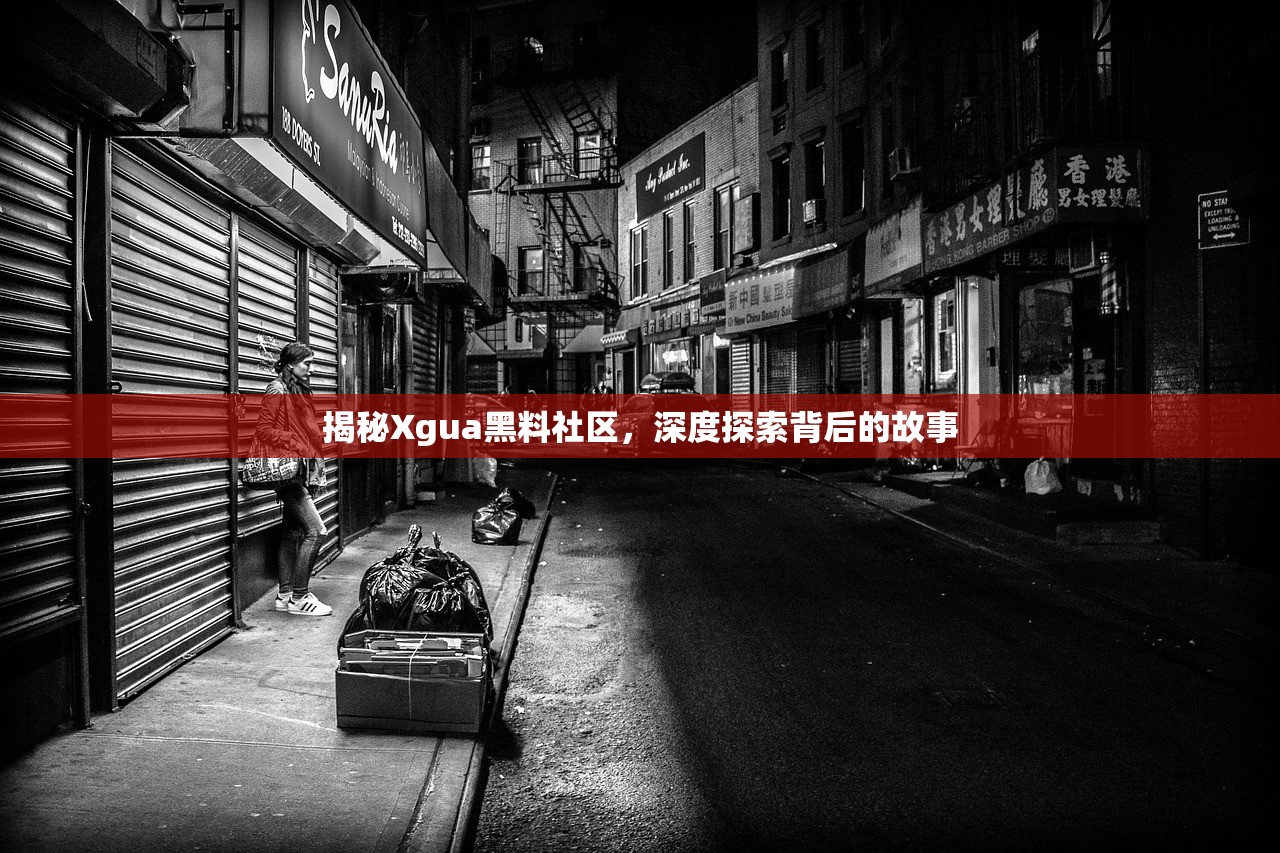 揭秘Xgua黑料社区，深度探索背后的故事