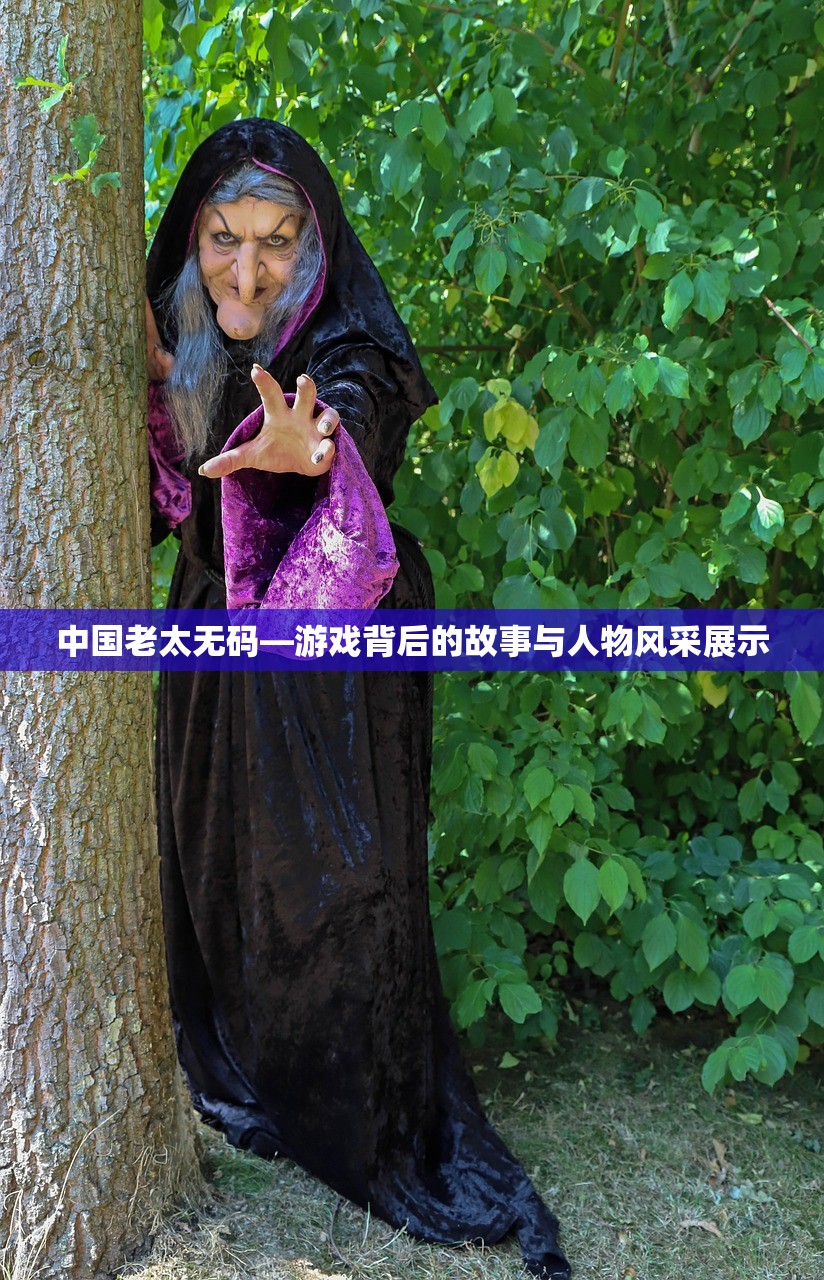 中国老太无码—游戏背后的故事与人物风采展示