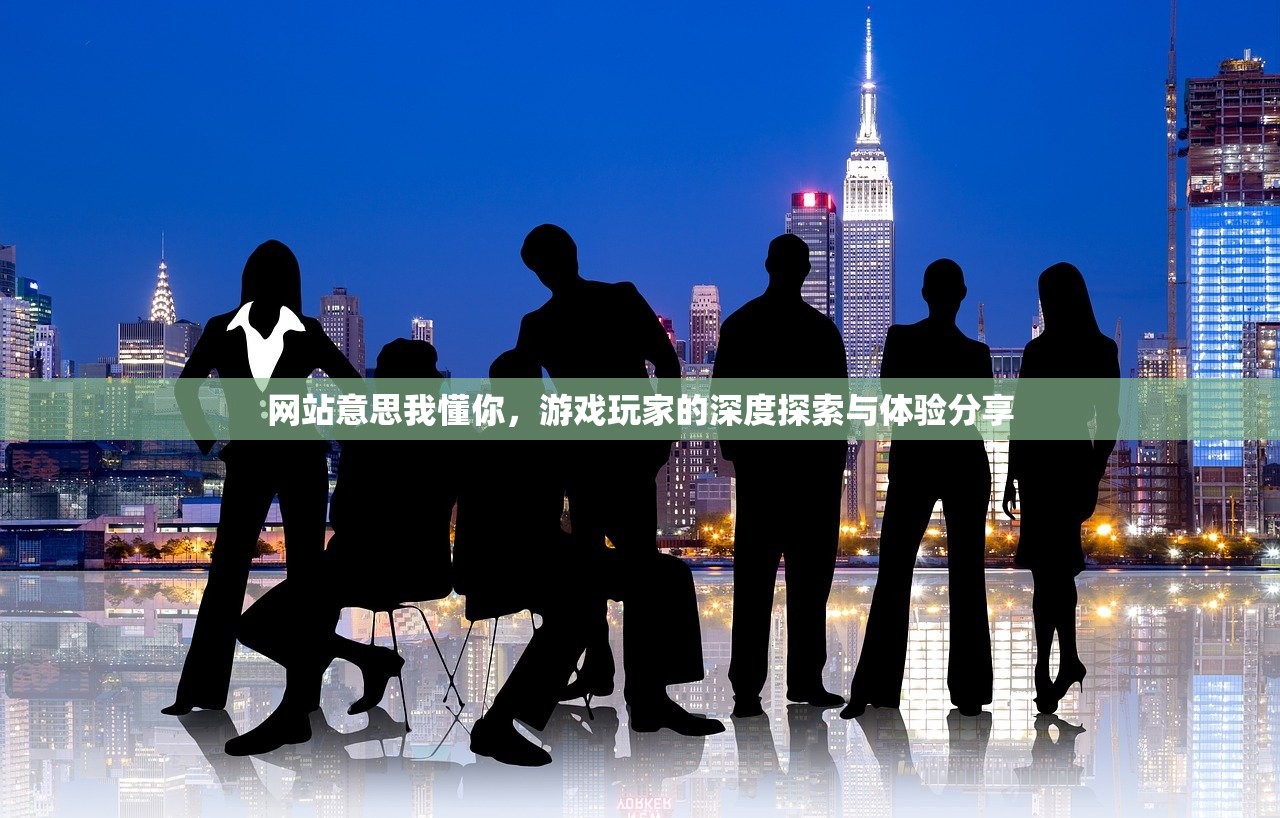 网站意思我懂你，游戏玩家的深度探索与体验分享