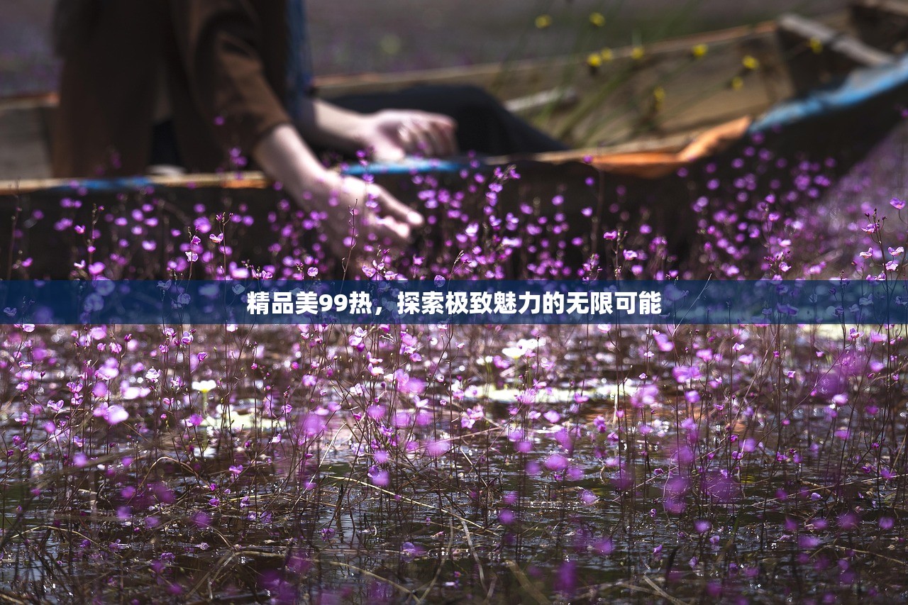 精品美99热，探索极致魅力的无限可能
