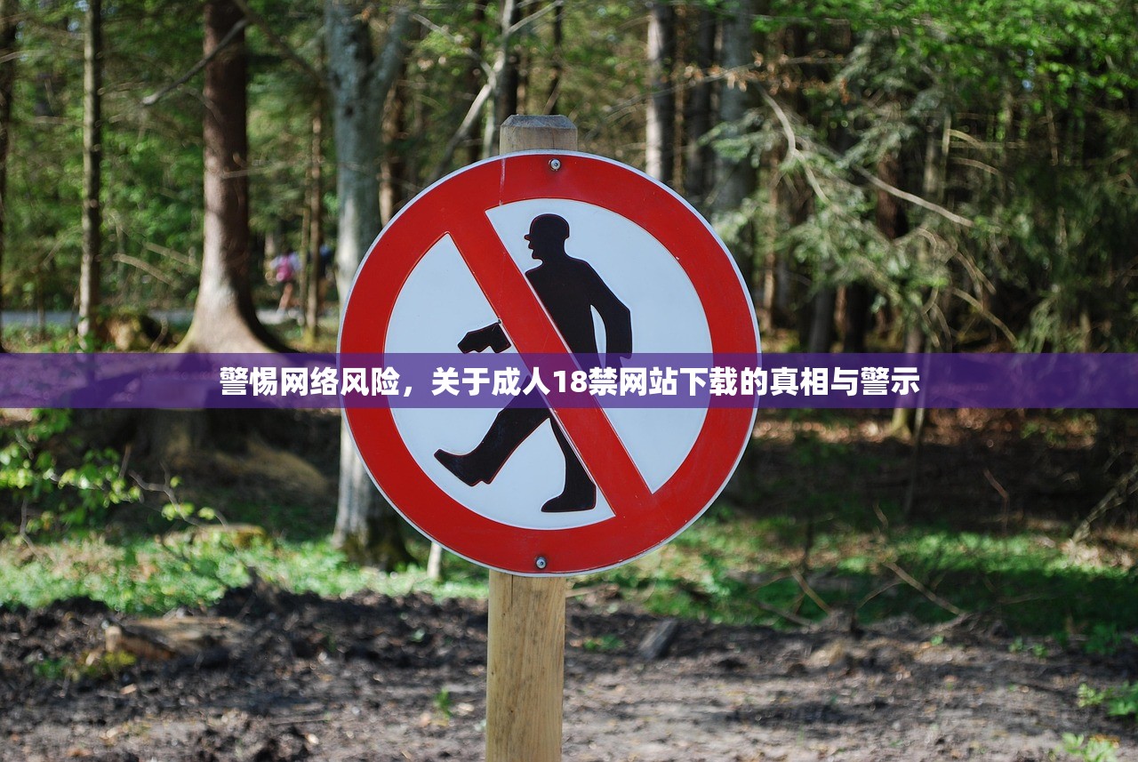 警惕网络风险，关于成人18禁网站下载的真相与警示