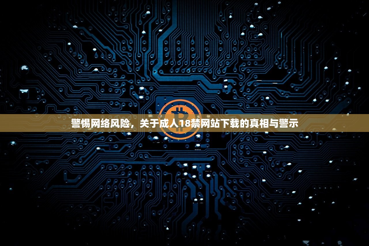 警惕网络风险，关于成人18禁网站下载的真相与警示