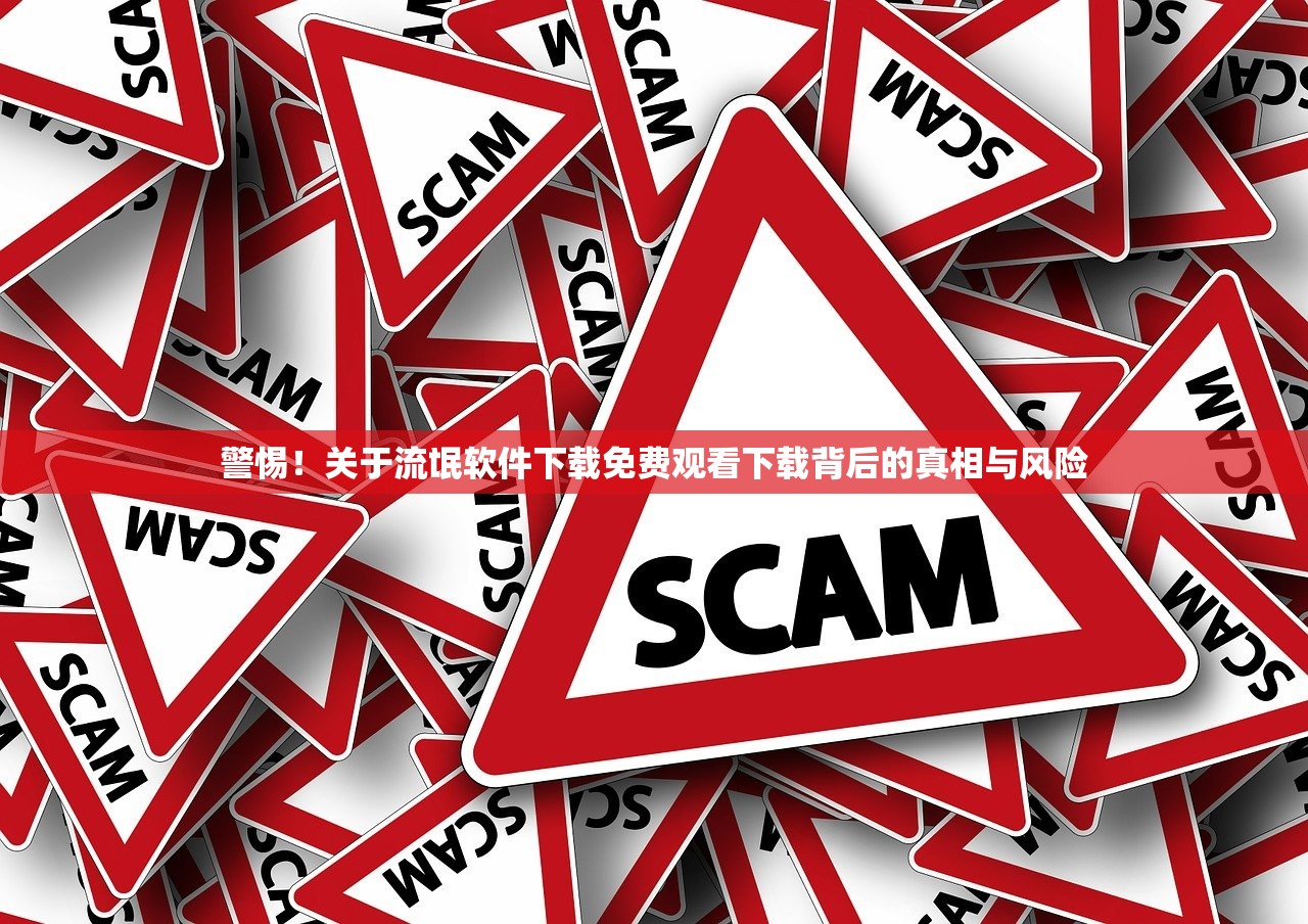 警惕！关于流氓软件下载免费观看下载背后的真相与风险
