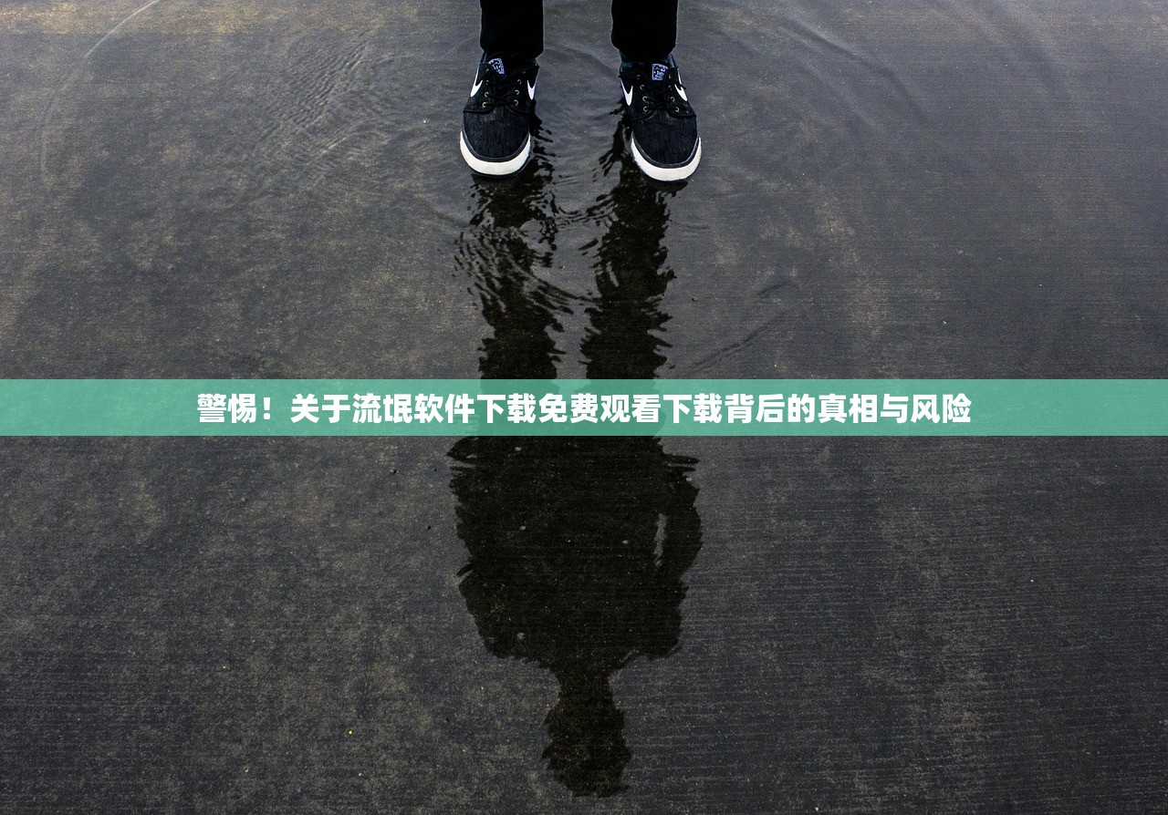 警惕！关于流氓软件下载免费观看下载背后的真相与风险