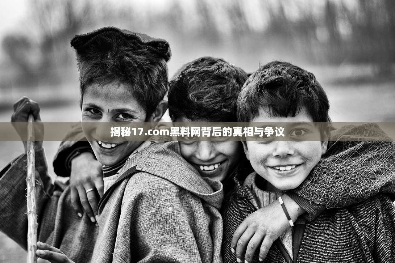 揭秘17.com黑料网背后的真相与争议