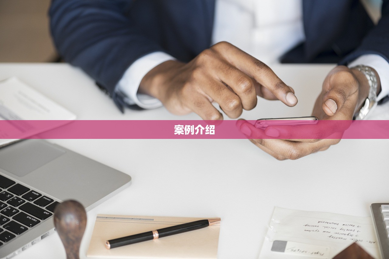 案例介绍