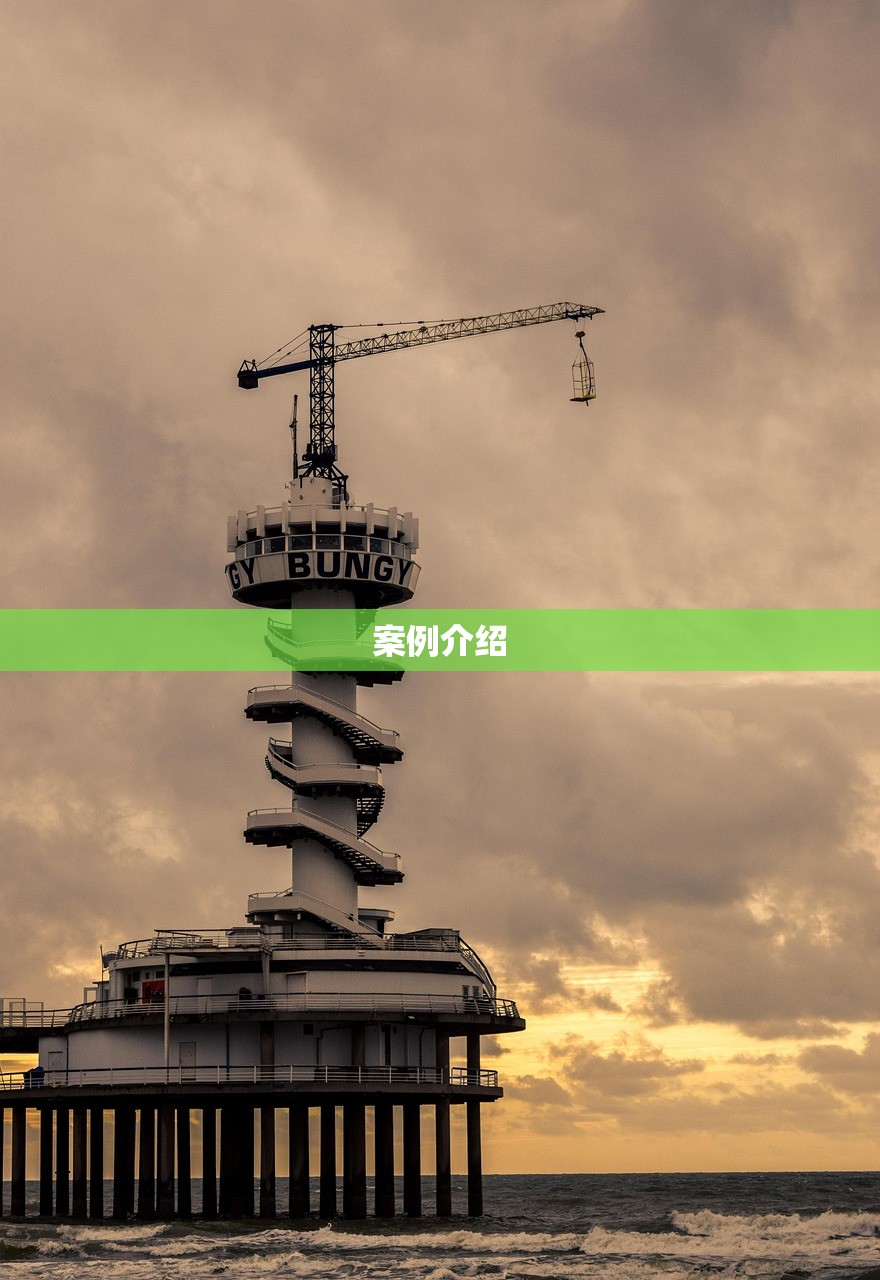 案例介绍