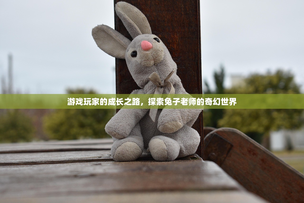 游戏玩家的成长之路，探索兔子老师的奇幻世界