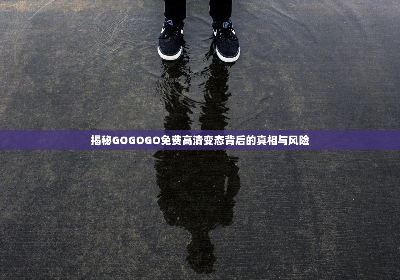 揭秘GOGOGO免费高清变态背后的真相与风险